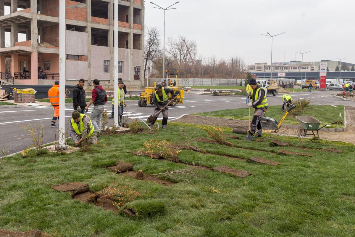 Bogardens amenajare peisagistică spații comerciale montaj gazon