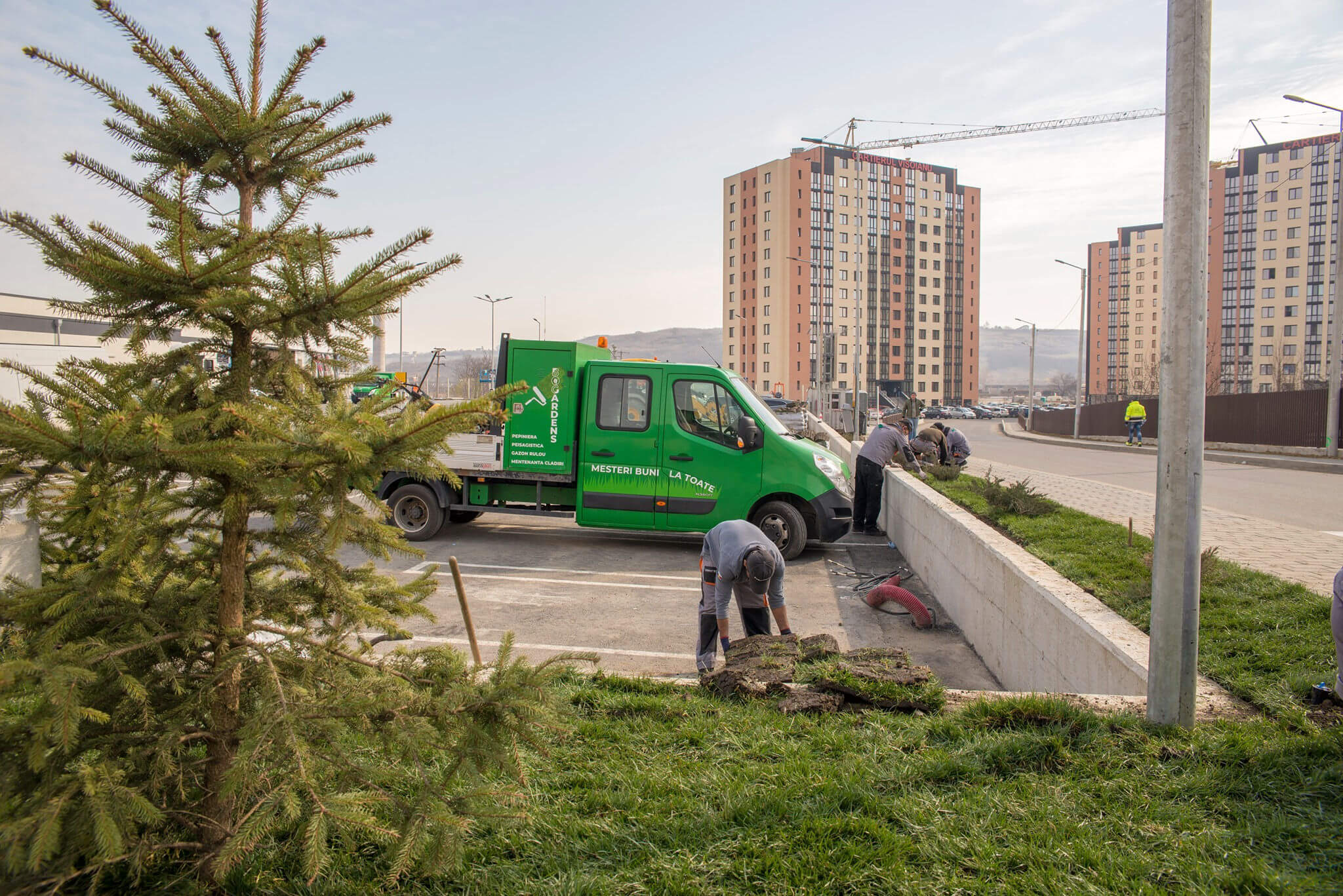Bogardens amenajări spații comerciale