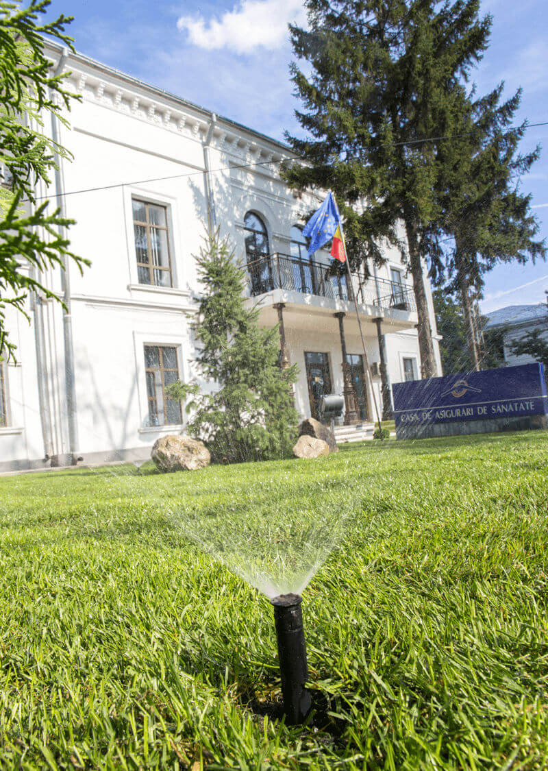 Bogardens - Amenajări peisagistice conifere